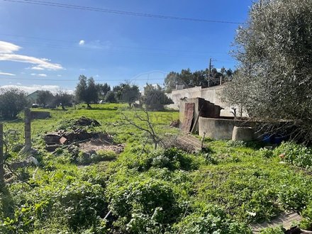 3 bedrooms House in Santarem, Portugal No. 185765