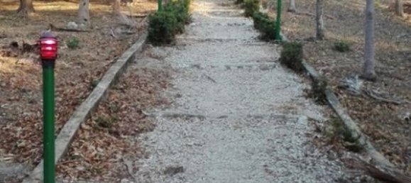 Hôtel à Nicoya, Costa Rica 450m² No. 1333 6