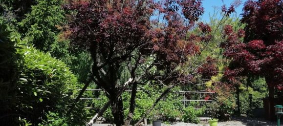 8 rooms House in Saluzzo, Italy No. 55830 5