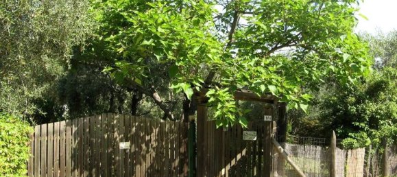 Villa de 10 dormitorios en Pescara, Italy No. 332175 2