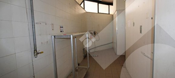 2-Zimmer Gewerbliche Immobilie in Pregnana Milanese, Italy, Nr. 232116 24
