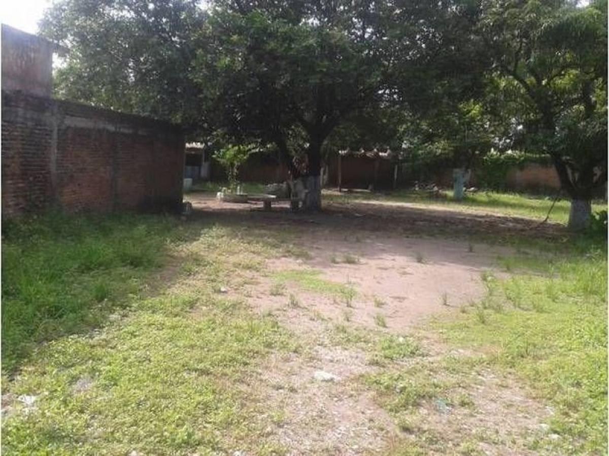  Land in Veracruz, Mexico No. 206251