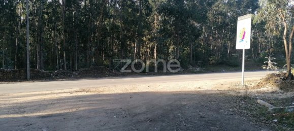 Земельный участок 25000м² в Вила Нова ди Фамаликан, Португалия № 83479 12