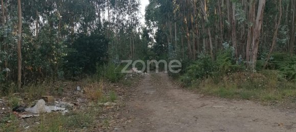 Земельный участок 25000м² в Вила Нова ди Фамаликан, Португалия № 83479 11