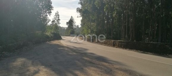 Земельный участок 25000м² в Вила Нова ди Фамаликан, Португалия № 83479 10