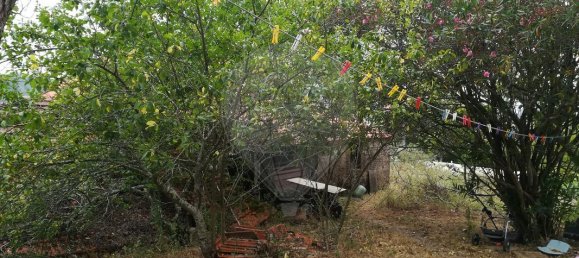 4 bedrooms House in Pombal, Portugal No. 186637 4