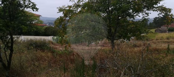 4 bedrooms House in Pombal, Portugal No. 186637 3