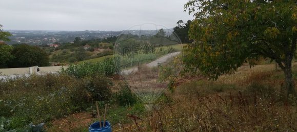 4 bedrooms House in Pombal, Portugal No. 186637 6