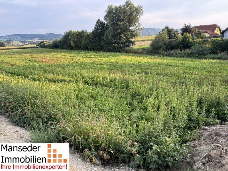  قطعة أرض في Kirchstetten, Austria 904متر مربع رقم 234242