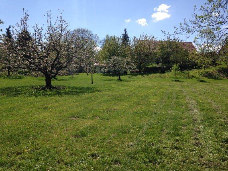  Land in Nordsachsen, Germany No. 172326