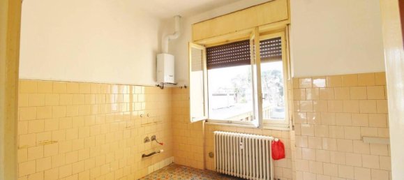 3 rooms Apartment in Canegrate, Italy No. 19710 5
