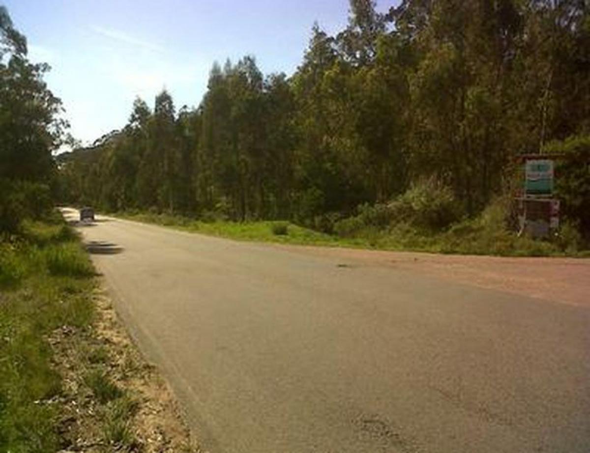  Land in Maldonado, Uruguay No. 14792