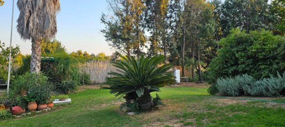 4 غرف نوم عقار تجاري في Amaliada, Greece رقم 66416 18