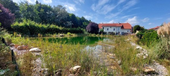 5 rooms Townhouse in Oberwaltersdorf, Austria No. 254066 3