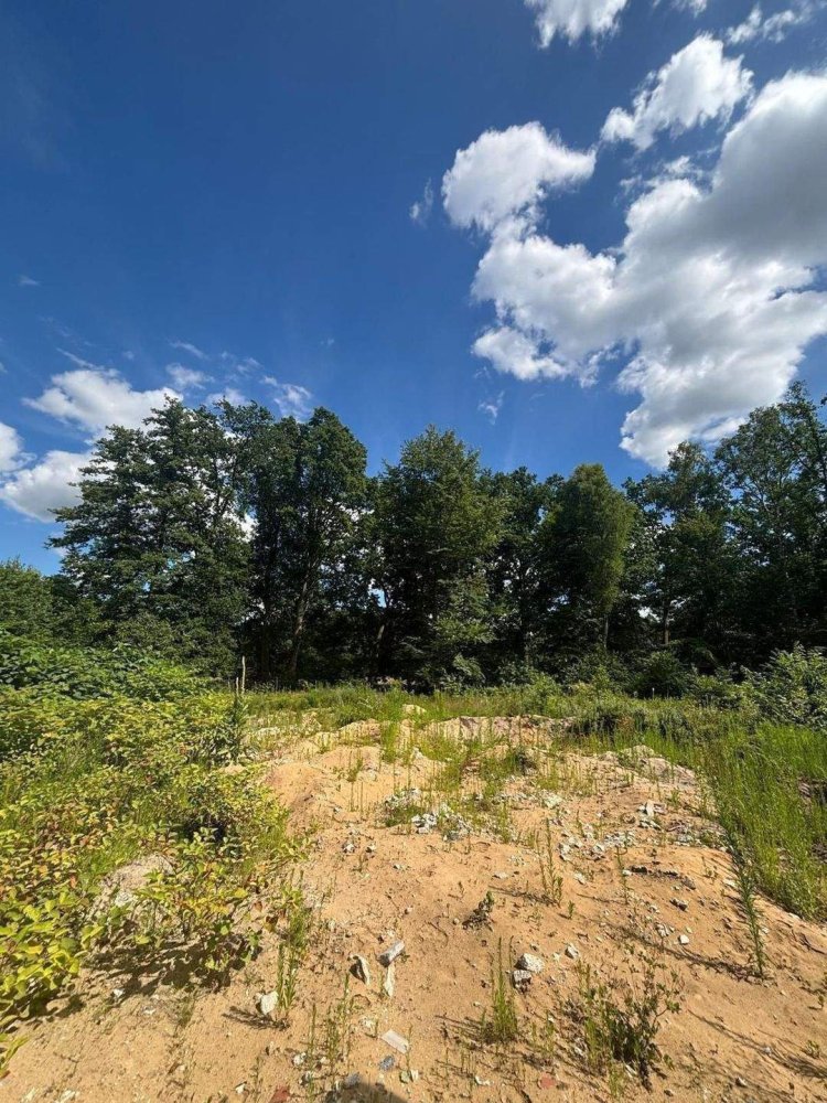 Terreno em Uelzen, Germany N.º 362717