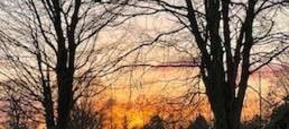 5 Schlafzimmer Bungalow in Wandsbek, Germany, Nr. 272422 6