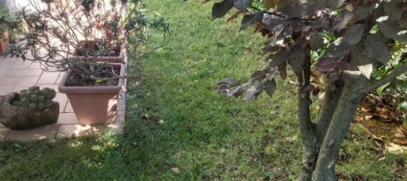 2 rooms Apartment in Bertinoro, Italy No. 269471 6