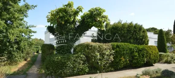 Bungalow de 4 dormitorios en Morfelden-Walldorf, Germany No. 291800 4