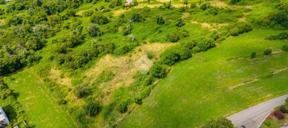 16000m² Land in Erbezzo, Italy No. 271085 4