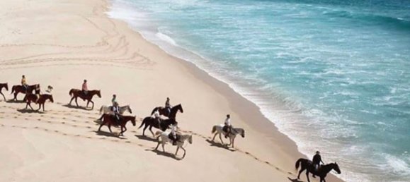 4 bedrooms Villa in Grandola, Portugal No. 133891 13