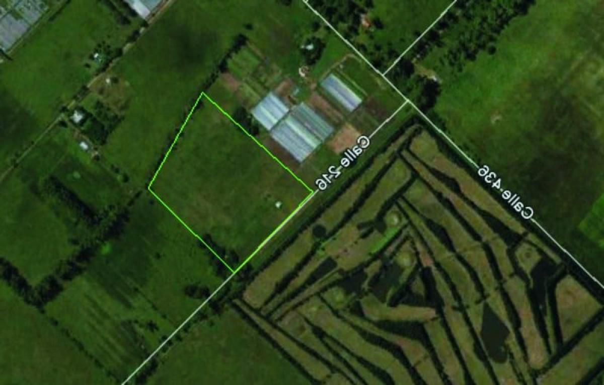  Land in Campo Creado, Argentina No. 37200