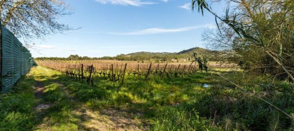2 Schlafzimmer Haus in Torres Vedras, Portugal, Nr. 106721 25