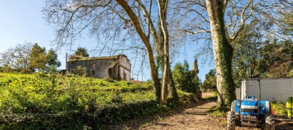 2 Schlafzimmer Haus in Torres Vedras, Portugal, Nr. 106721 23