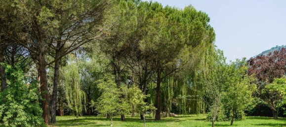 6 bedrooms Villa in Massarosa, Italy No. 345805 3