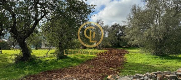 Terreno en Sao Bras de Alportel, Portugal 2432 m² No. 35262 15