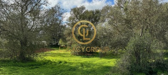 Terreno en Sao Bras de Alportel, Portugal 2432 m² No. 35262 16