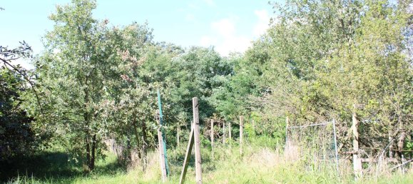 7 bedrooms House in Saluggia, Italy No. 347890 20