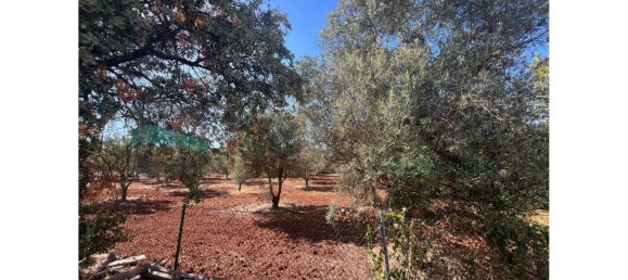 Land in Loule, Portugal No. 145436 7