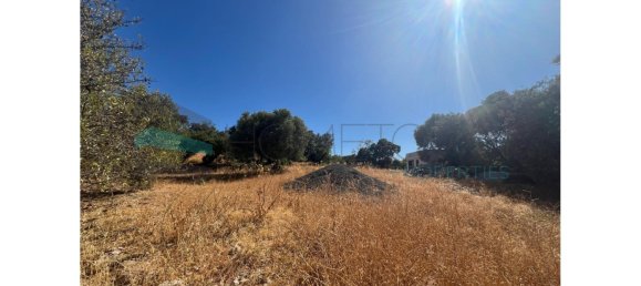 Land in Loule, Portugal No. 145436 5