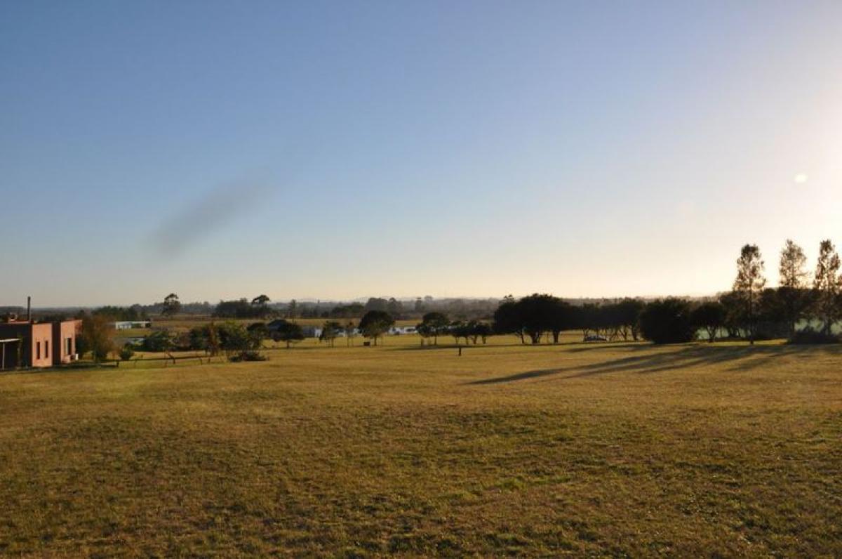 Земельный участок в Мальдонадо, Уругвай № 16142