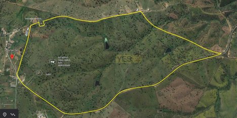 3 bedrooms House in Alcacer do Sal, Portugal No. 156617