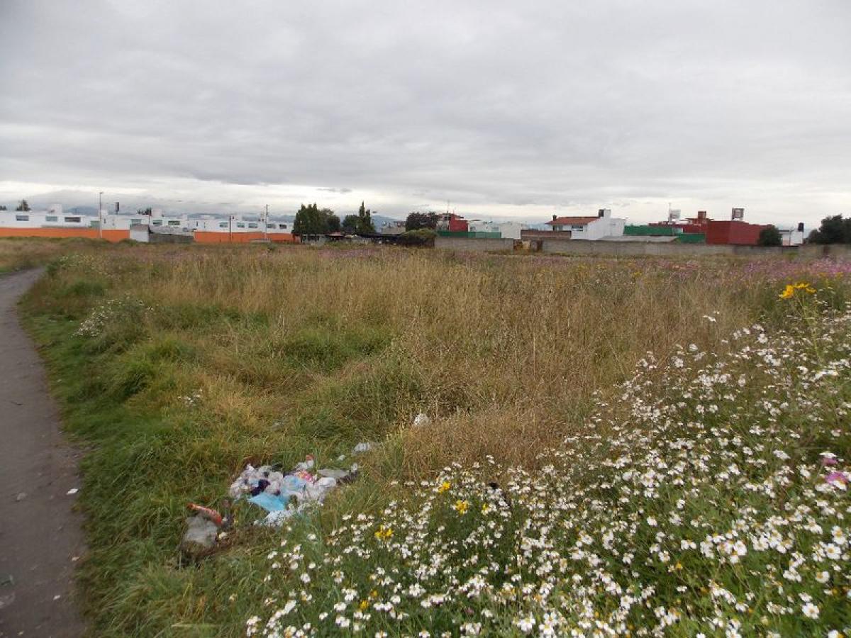  Land in Mexico No. 203762