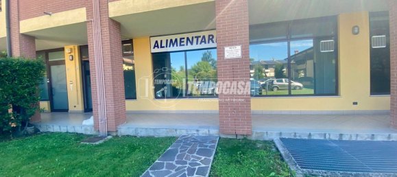 1-Zimmer Gewerbliche Immobilie in Bagnolo Mella, Italy, Nr. 288097 5