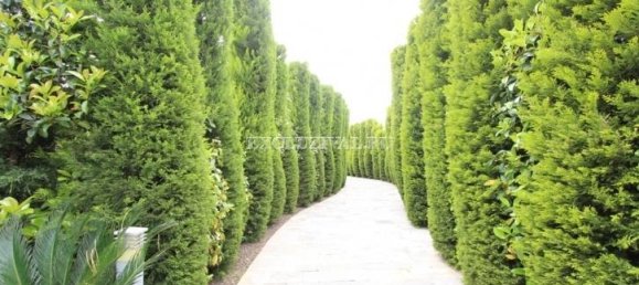 Villa 3+1 in Bodrum, Turkey No. 28416 16