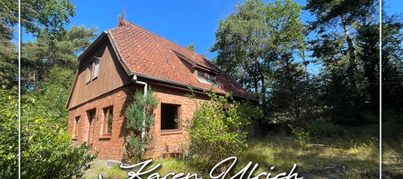 Terreno en Harburg, Germany No. 167936 2