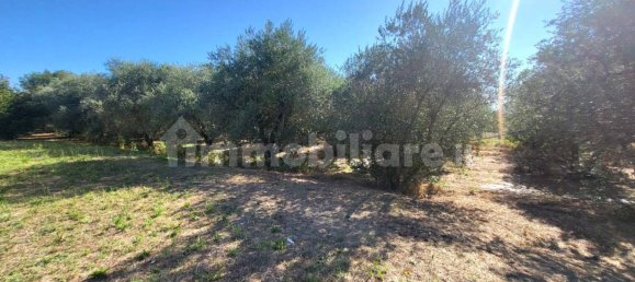 4 غرف نوم فيلا في Fabrica di Roma, Italy رقم 312202 11