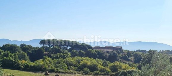 4 غرف نوم فيلا في Fabrica di Roma, Italy رقم 312202 7