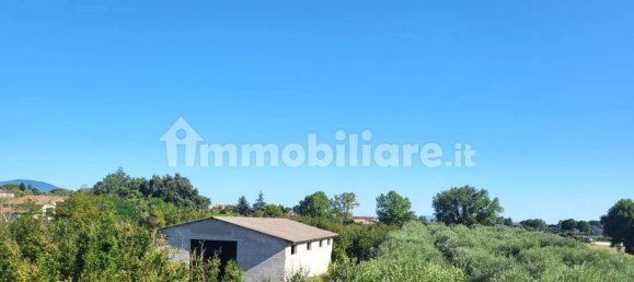 4 غرف نوم فيلا في Fabrica di Roma, Italy رقم 312202 6