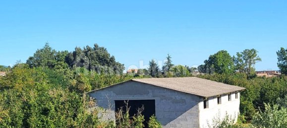 4 غرف نوم فيلا في Fabrica di Roma, Italy رقم 312202 5