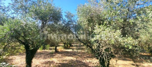 4 غرف نوم فيلا في Fabrica di Roma, Italy رقم 312202 10