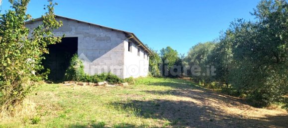 4 غرف نوم فيلا في Fabrica di Roma, Italy رقم 312202 2