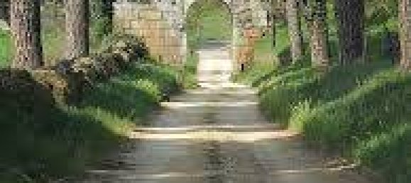 4 غرف نوم فيلا في Fabrica di Roma, Italy رقم 312202 16