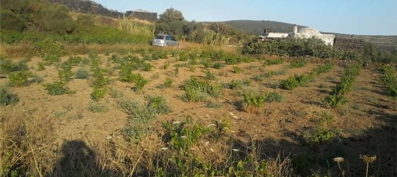 2غرفة منزل في Pantelleria, Italy رقم 49620 6