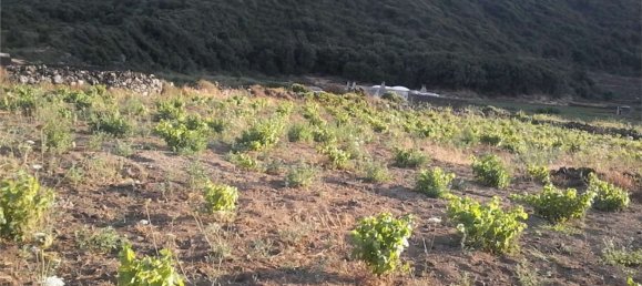 2غرفة منزل في Pantelleria, Italy رقم 49620 2