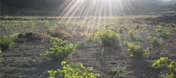 2غرفة منزل في Pantelleria, Italy رقم 49620 4