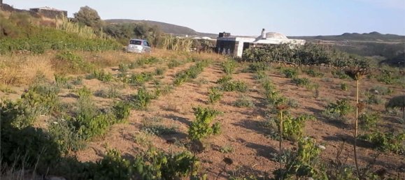 2غرفة منزل في Pantelleria, Italy رقم 49620 7